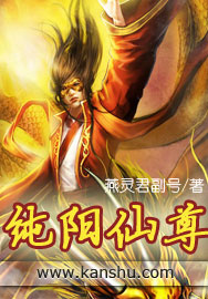 純陽仙尊 小說封面