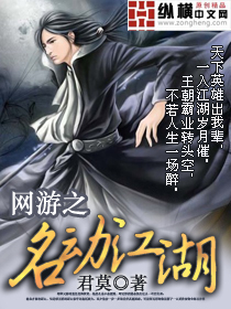 網遊之名動江湖 小說封面