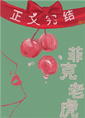 菲尅老虎小说封面