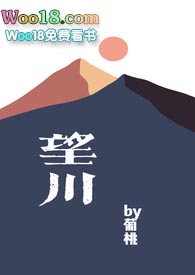 望川小说封面