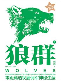 狼群小說原版封面
